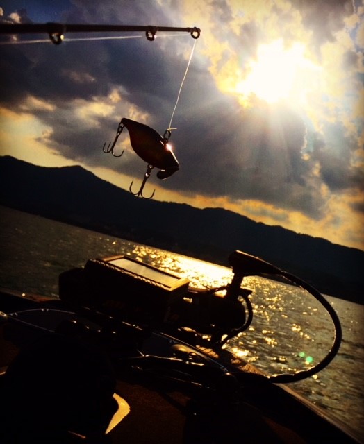 秋のハードベイトゲーム