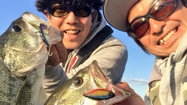 秋のトリゴンハイスピード戦略