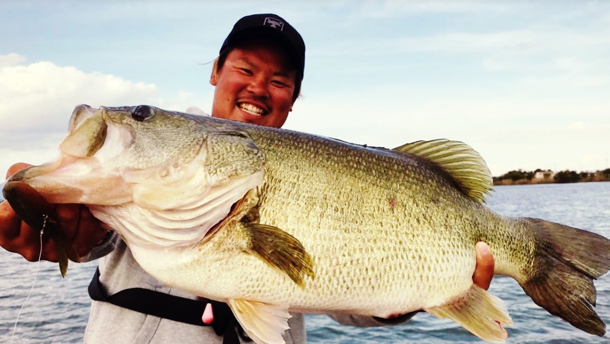 秋のシャローモンスター