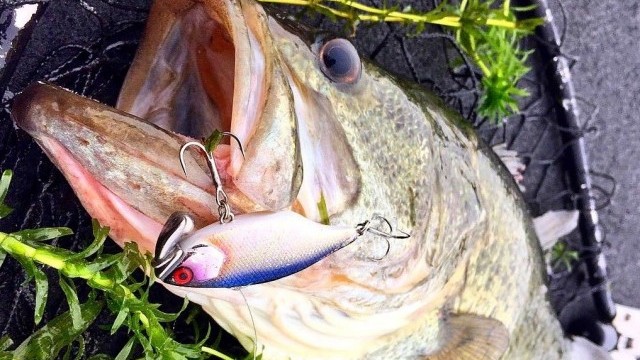 TRIGONドシャロー勝負