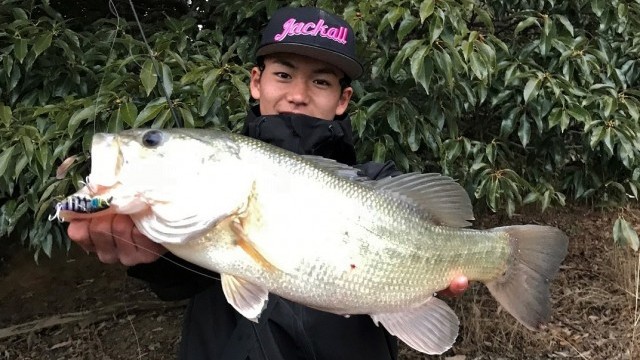真冬の鉄板「ノッキンジョー」