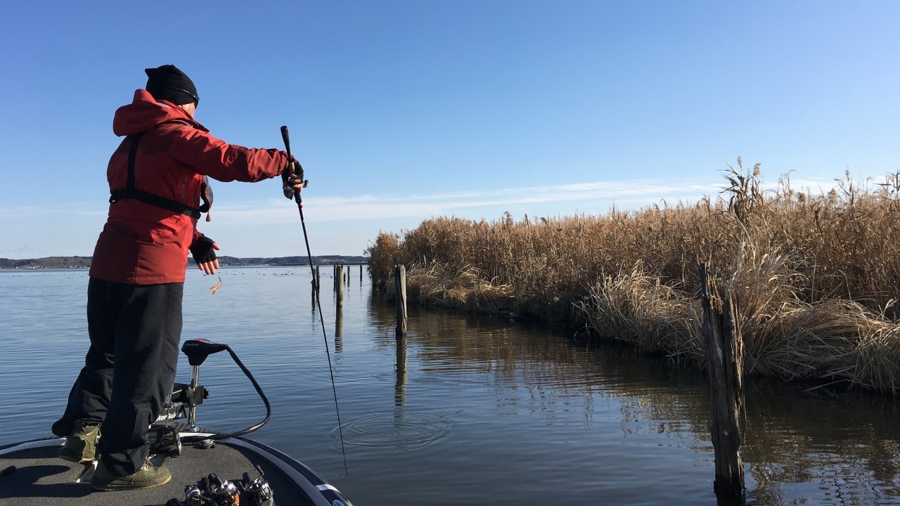 FIVOSSに新サイズ追加 - FRESH WATER バス釣り ｜JACKALL｜ジャッカル