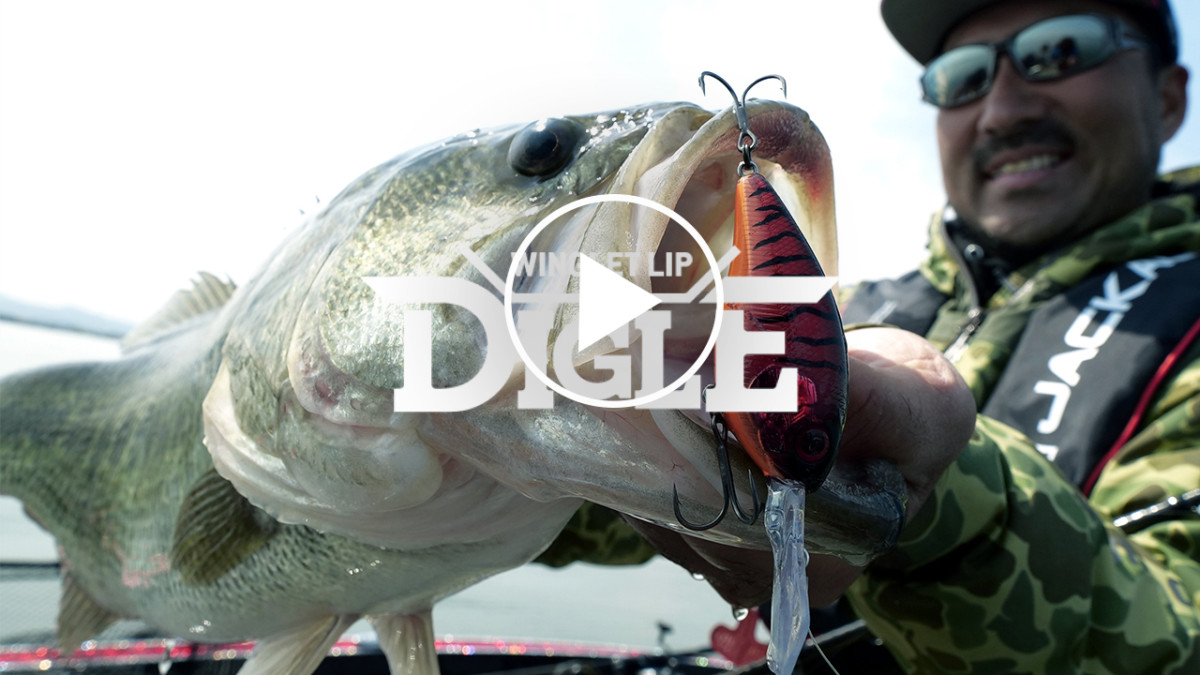 バス釣り とことん飛ぶクランクベイト Digle Pv 加藤誠司 秦拓馬 Fresh Water バス釣り Jackall ジャッカル ルアー