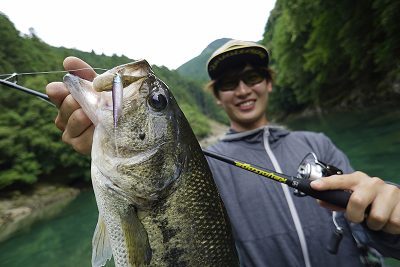 RV-DRIFTFRY / RV Drift Fly --FRESH WATER bass Fishing ｜JACKALL｜JACKALL｜ Lure