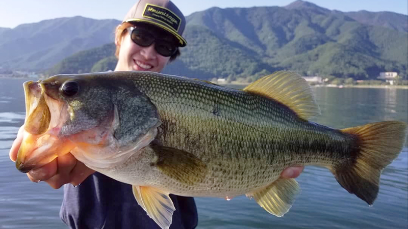 ワカサギパターンを攻略するために知っておきたいこと