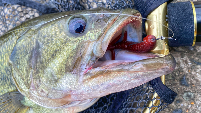 春の気まぐれバスは″巻き″と″キャロ″を使い分ける