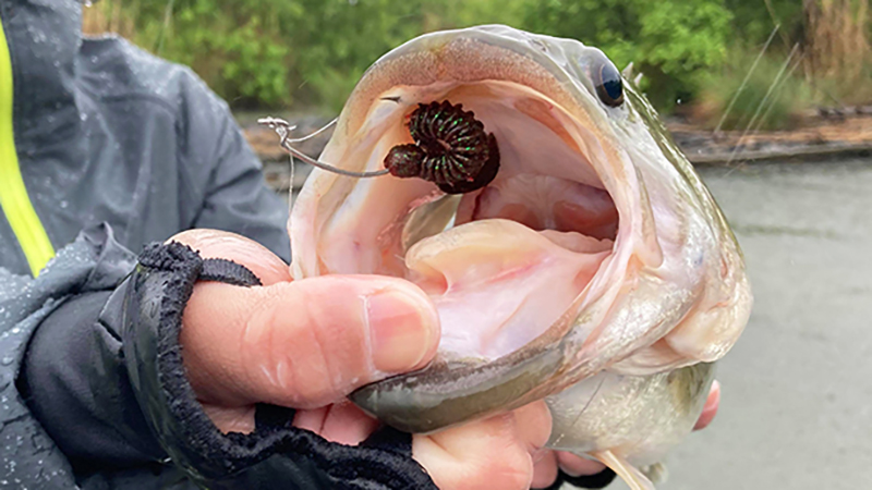 新たなフィールドは、ワクワクに溢れている