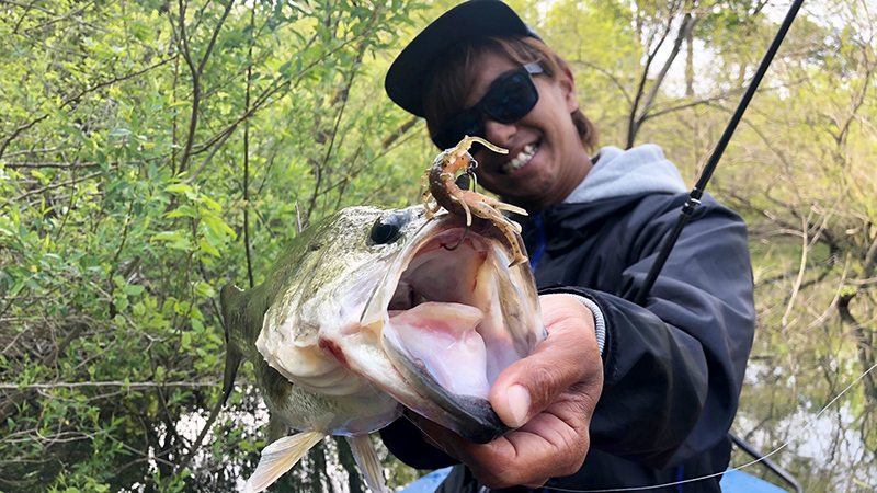 ルアーにバスを合わせるという考え方。RV-BUG 3インチのスポーン攻略