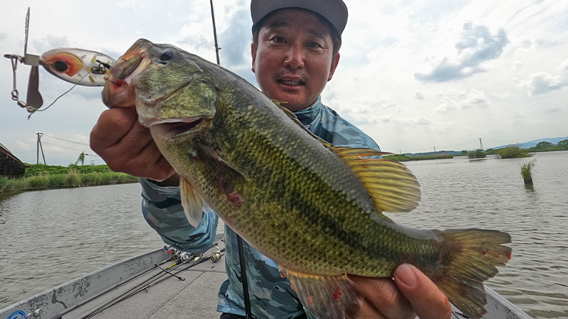 夏の水面攻略は金属音でバイトを誘発!