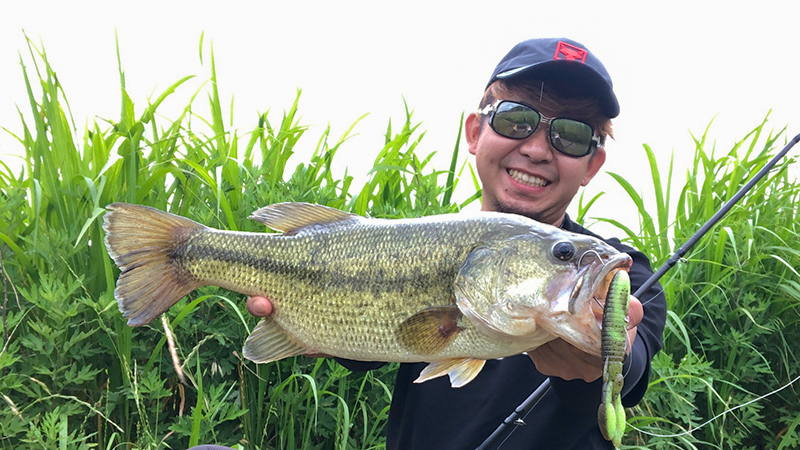 霞ヶ浦水系のアフタースポーンは、スローフォールで攻略