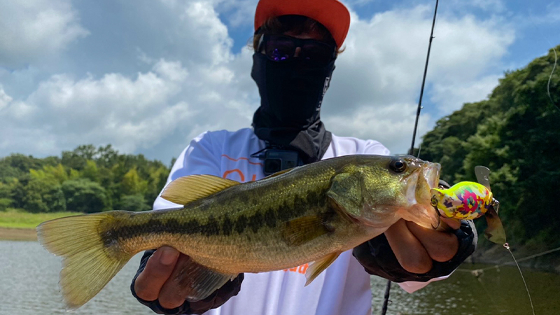 夏のキーは”水通しと日陰”。トップとスモラバの2 WAY戦略