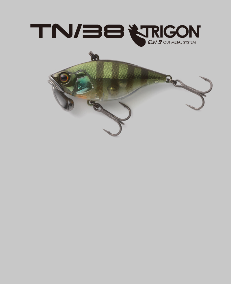 ティーエヌ38トリゴン TN38 TRIGON