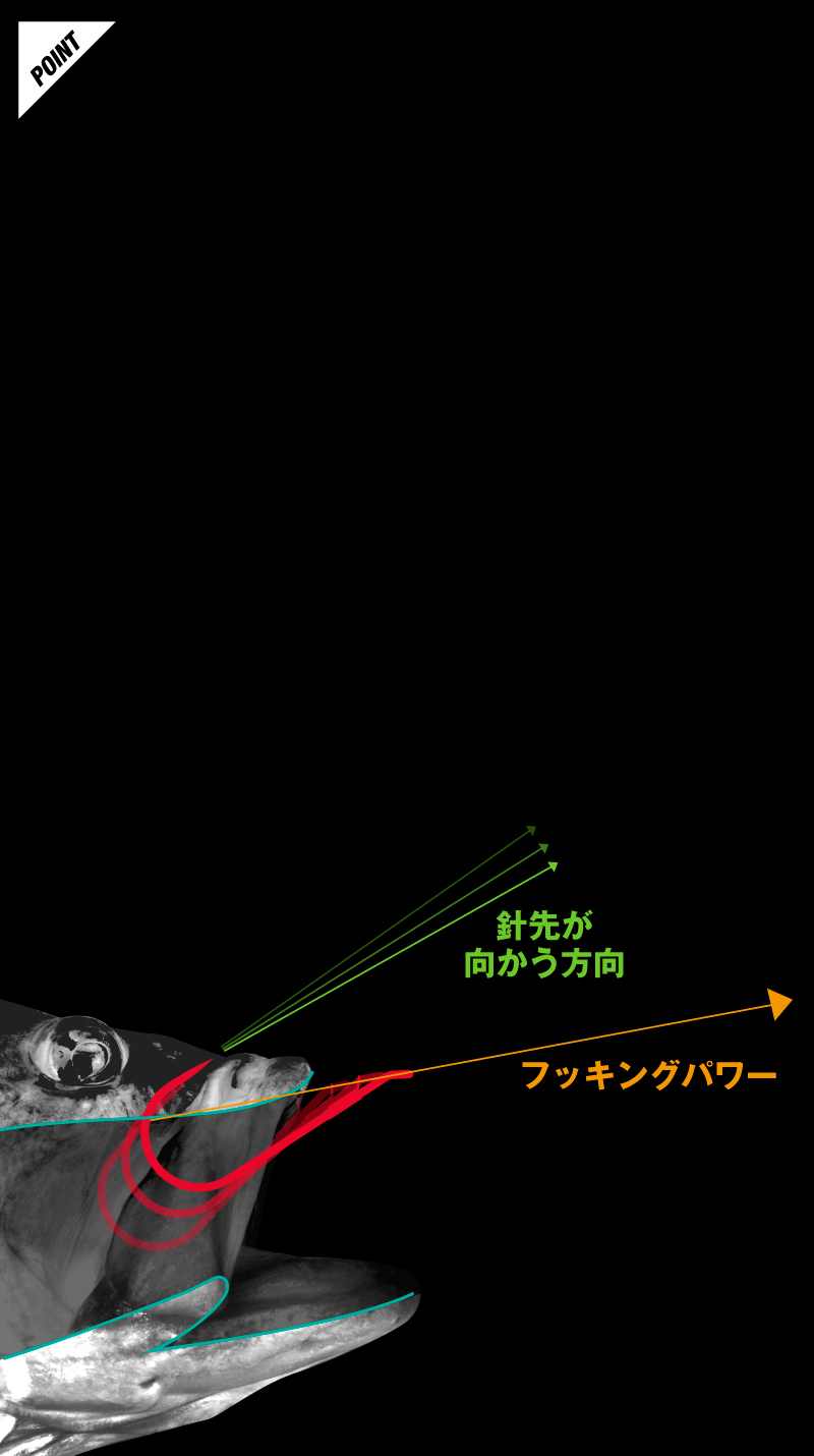 ストレイザー STLAZER / ストレイザー 