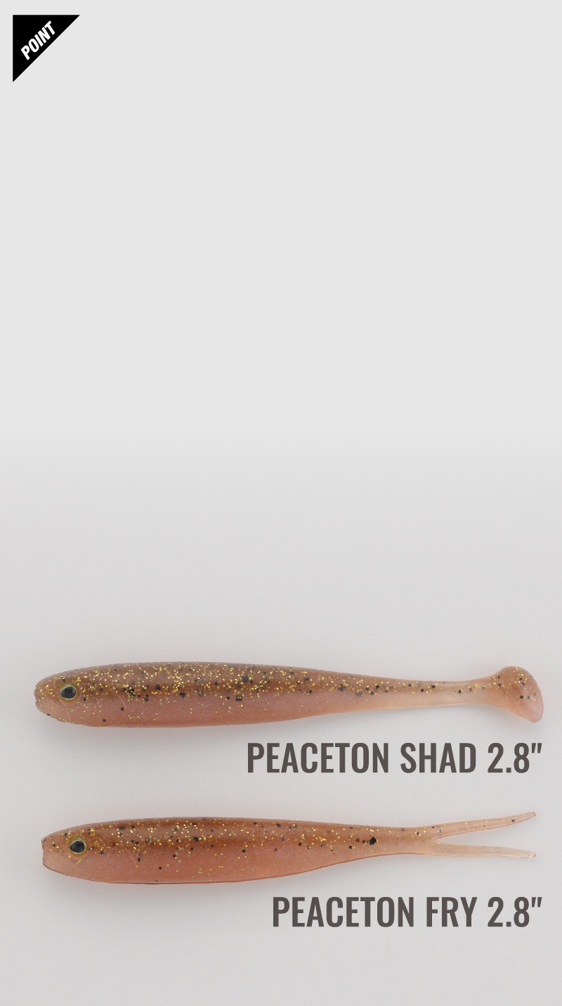 PEACETON 80 100 / 피스톤 80 100