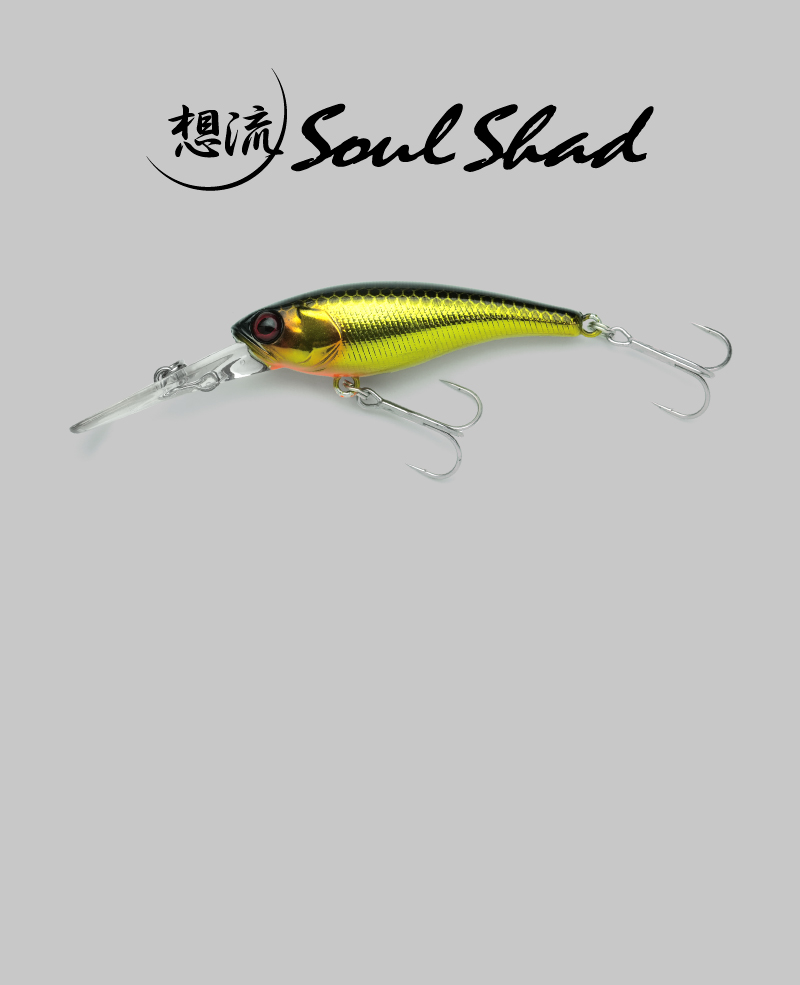 SOUL SHAD / SOUL SHAD--FRESH WATER bass Fishing ｜JACKALL｜JACKALL｜ Lure