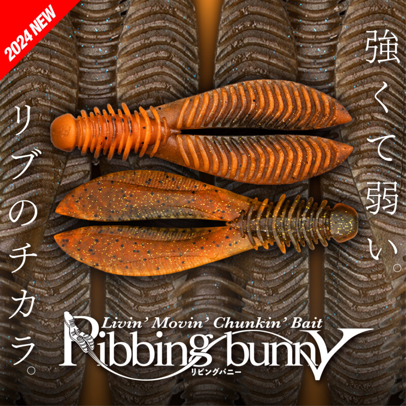 JACKALL ジャッカル トランポ T2C-68L-2 ベイトフィネスモデル