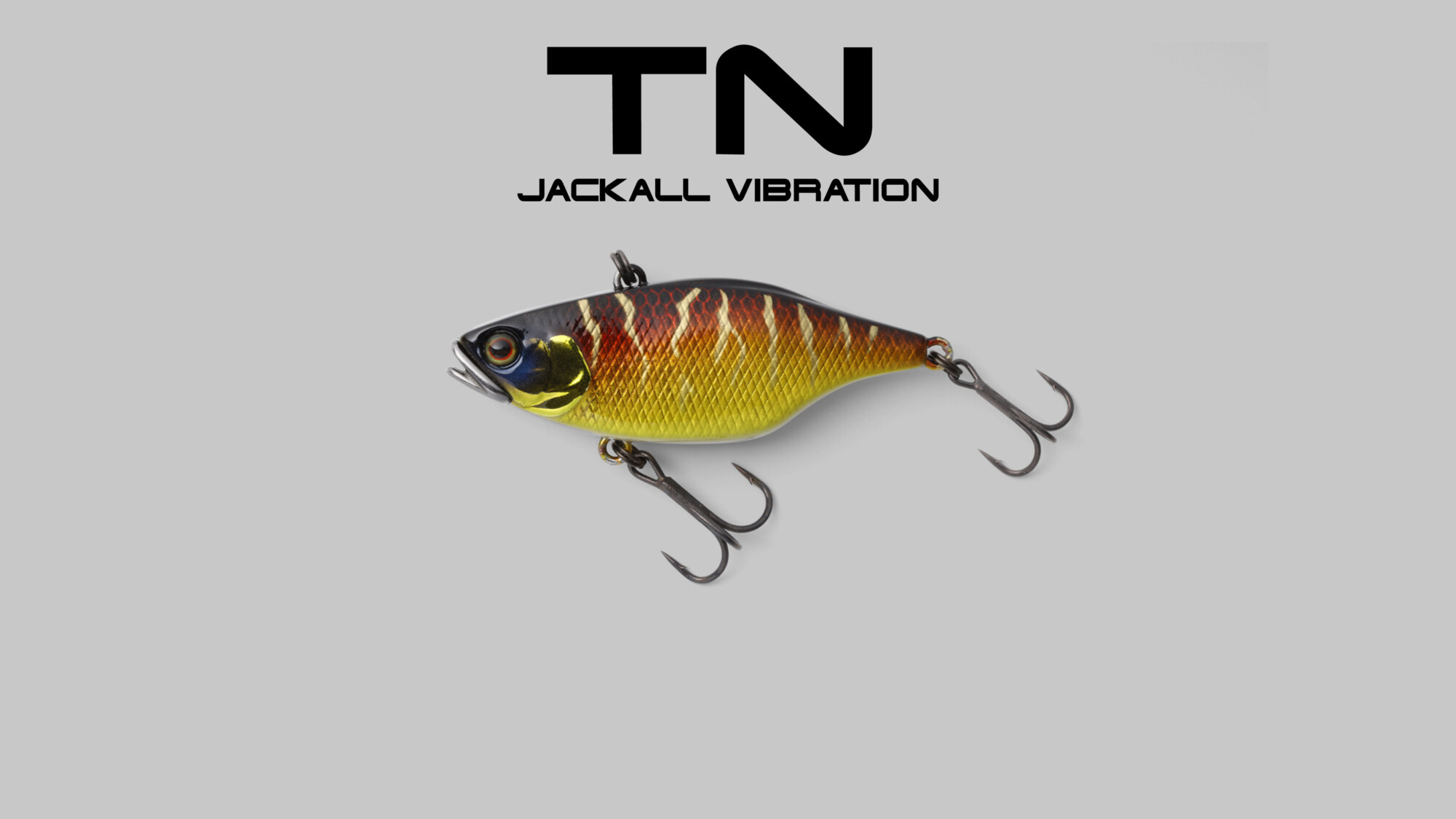 ティーエヌバイブレーション 50/60/65/70/80 TN VIBRATION 50/60/65/70/80