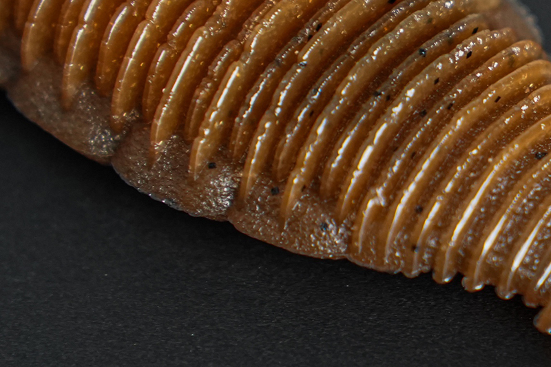 シボフラット SHIBO FLAT/シボフラット