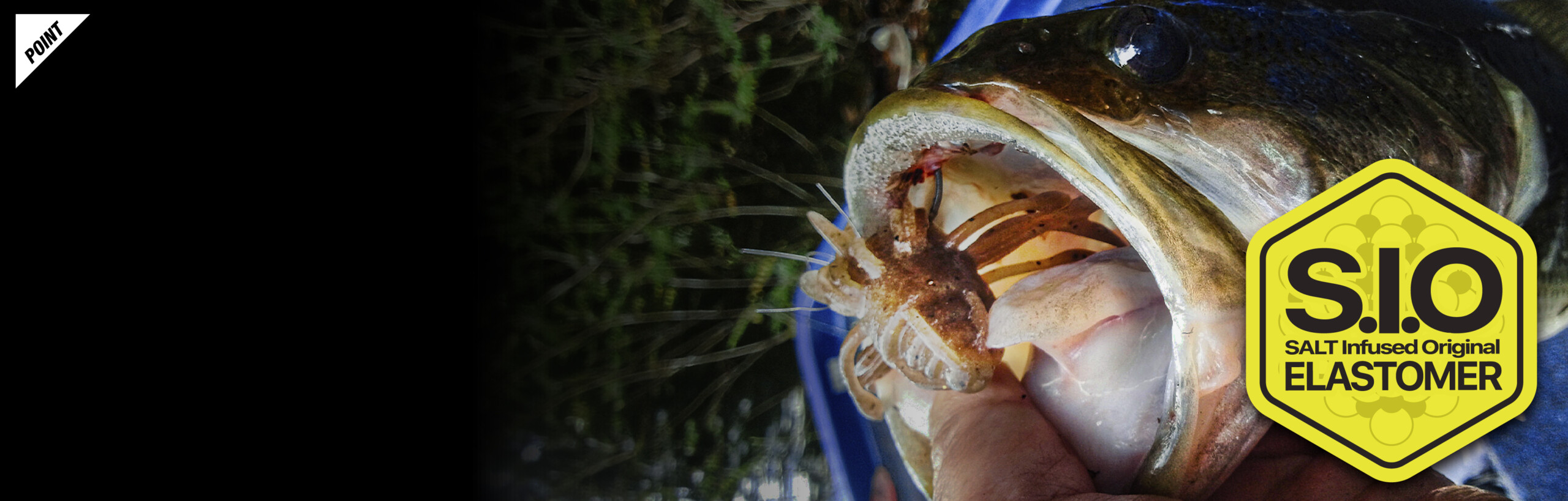 キングジミーヘンジ KING JIMMY HENGE/キングジミーヘンジ 