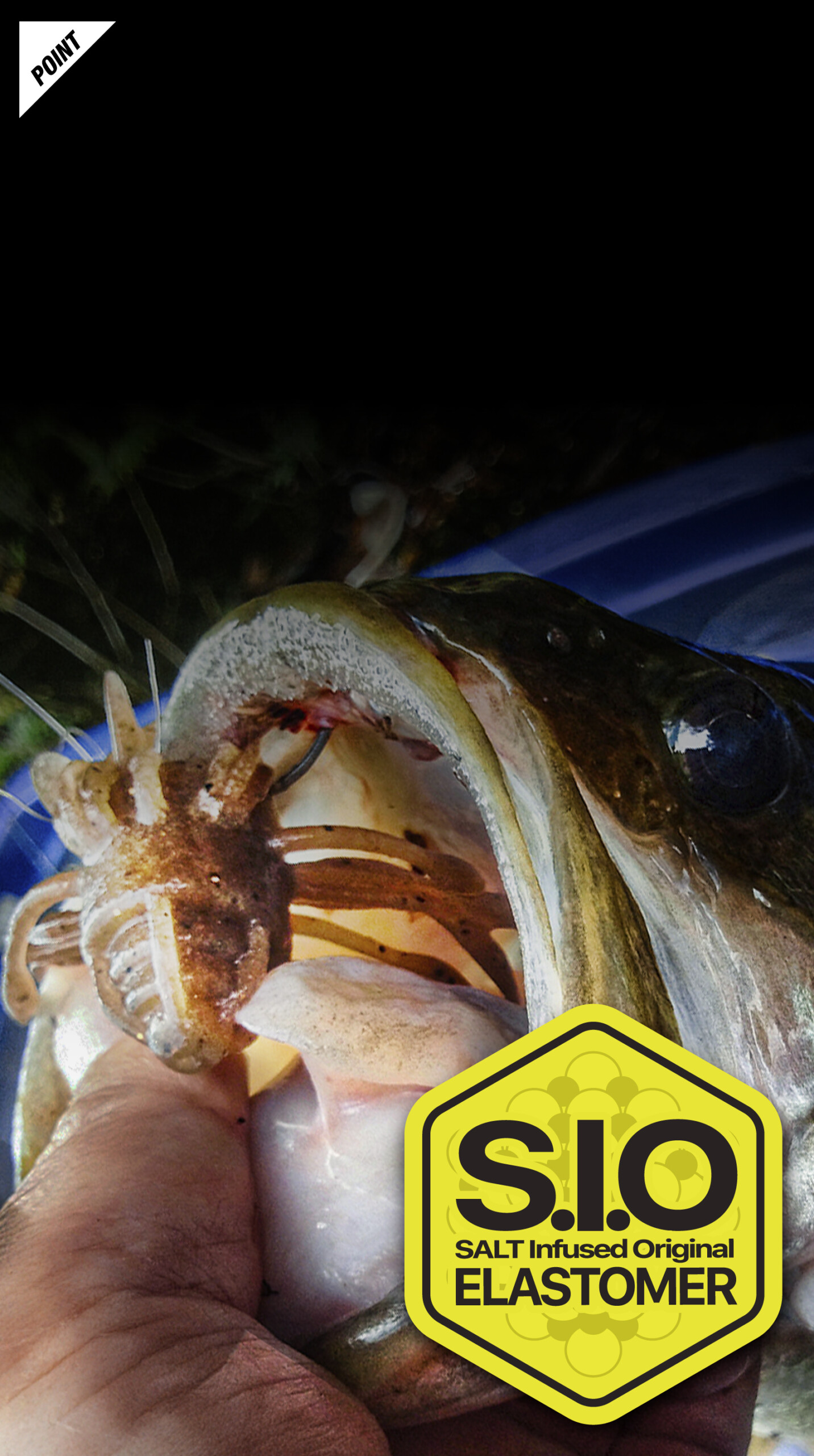 キングジミーヘンジ KING JIMMY HENGE/キングジミーヘンジ 