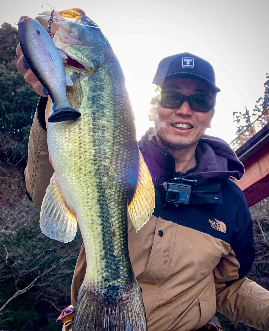 バスカヴィル ヌエ スウィッシャー 83a8f917aeae528f81bcb55bc12209