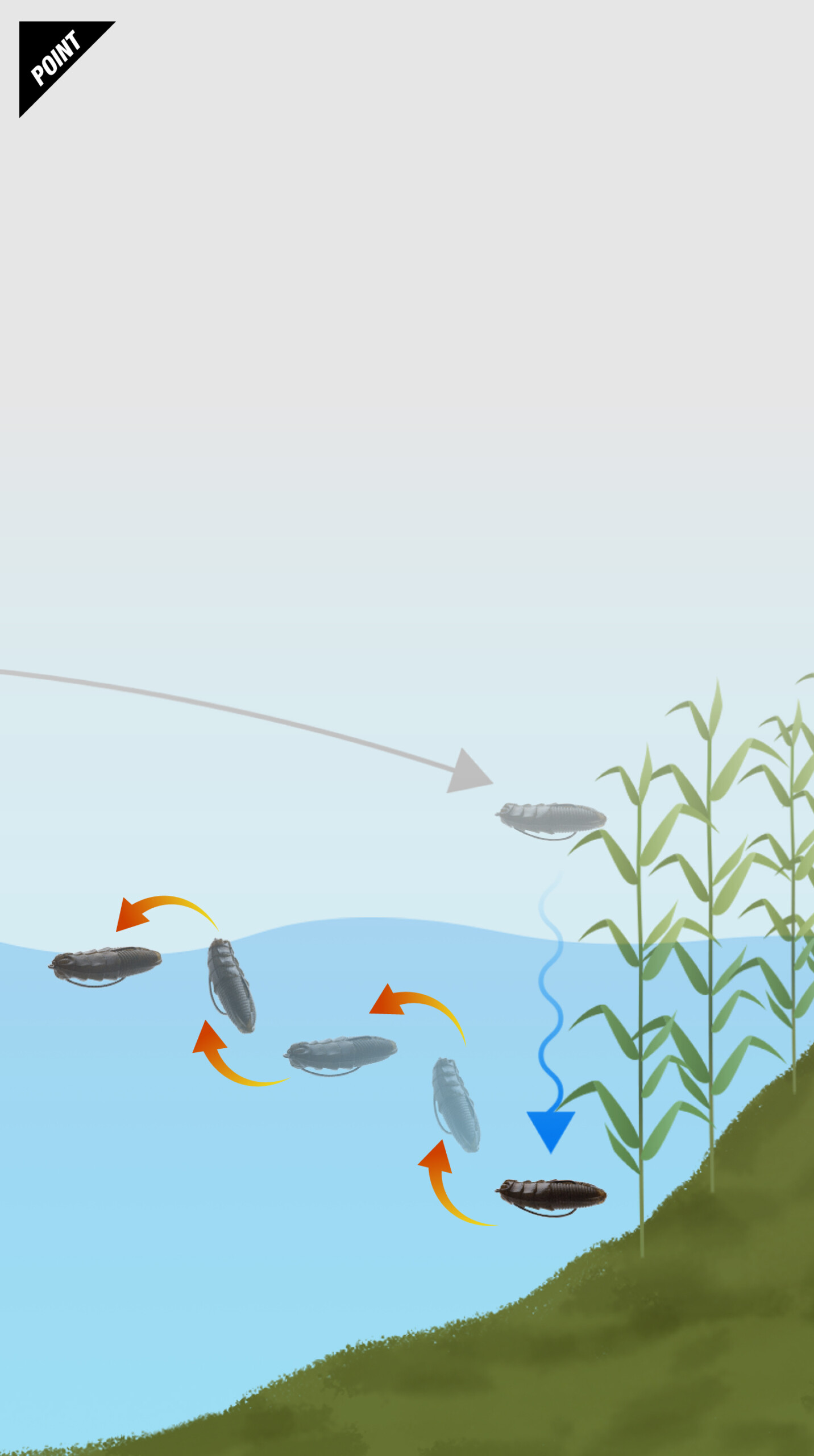 ジミーイモ 2インチ JIMMY IMO 2″ 