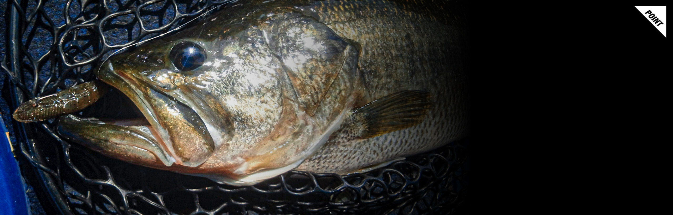 ジミーイモ 2インチ JIMMY IMO 2″ 