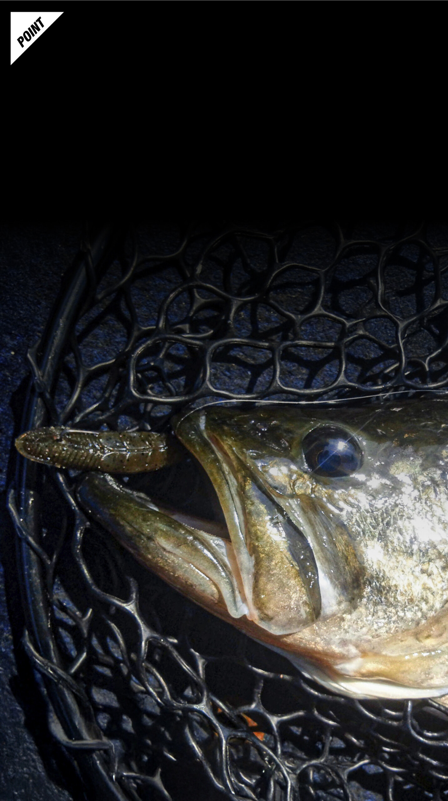 ジミーイモ 2インチ JIMMY IMO 2″ 