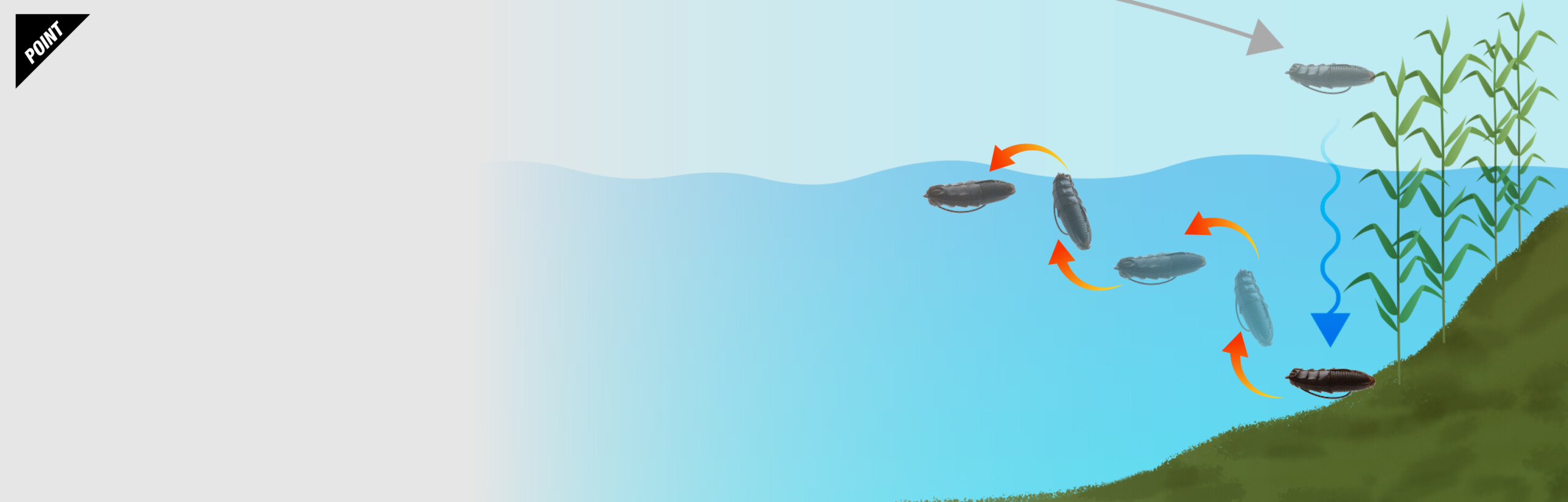 ジミーイモ 2インチ JIMMY IMO 2″ 