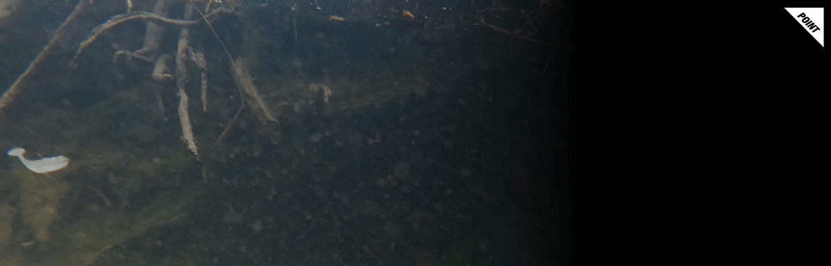 スパイキックス 2.5インチ SPIKIX 2.5″ 