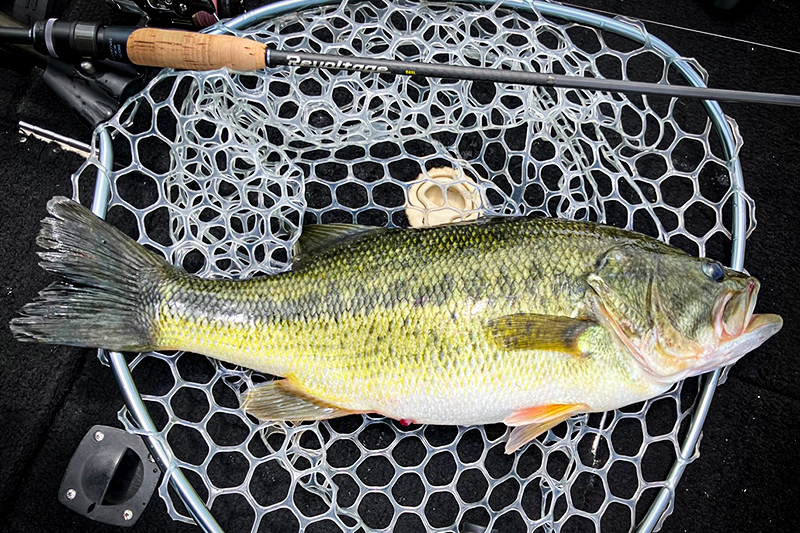 プレッシャー下の河口湖で掴んだ手応えと7位入賞/斉 広峰