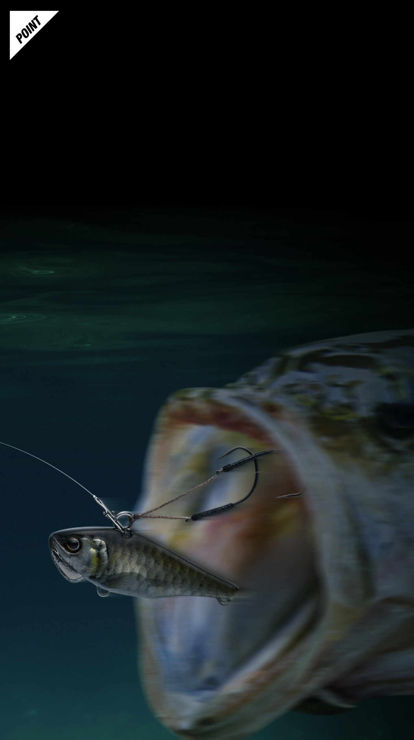 バス釣り Amazon.co.jp: SHINETAO マイクロクランクベイト 5個 バス釣り