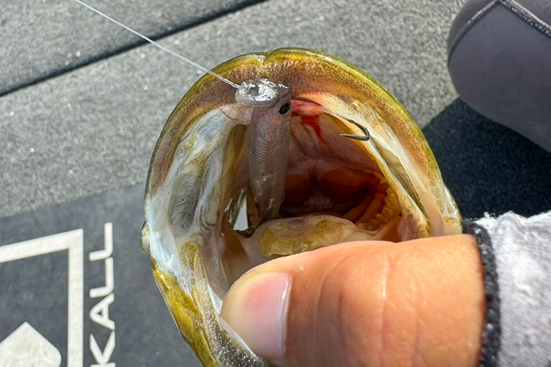 【JBトップ50桧原湖戦】優勝メソッド