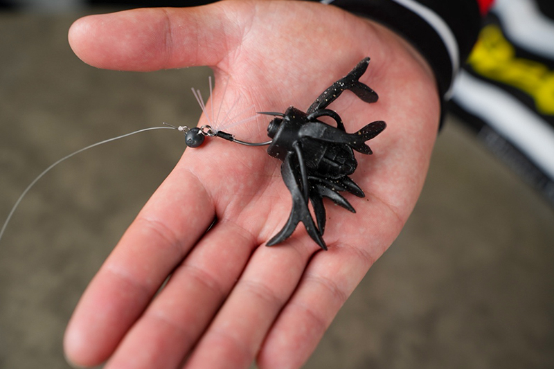 優勝を引き寄せたフック選択のロジック/藤田夏輝