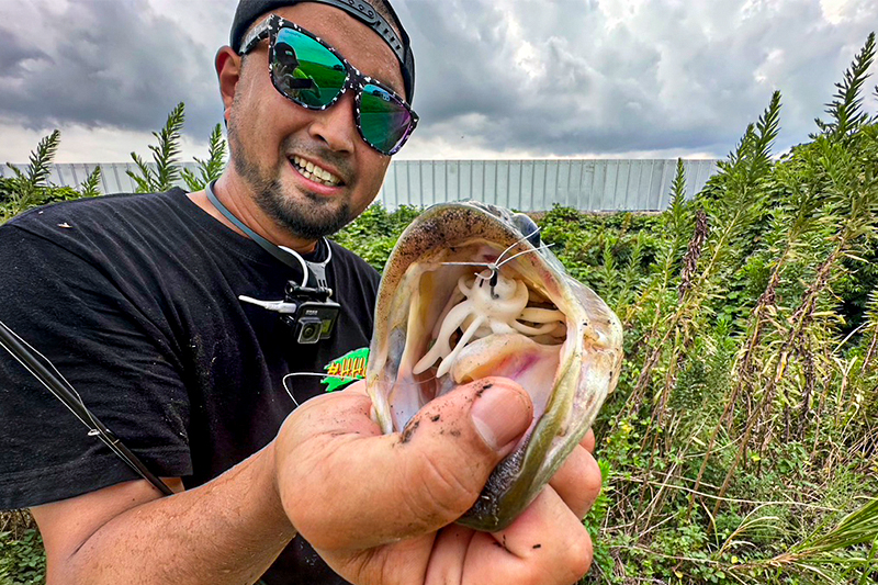 釣れる秘訣は比重にあり⁈KING JIMMY HENGEが釣れる理由を考える。