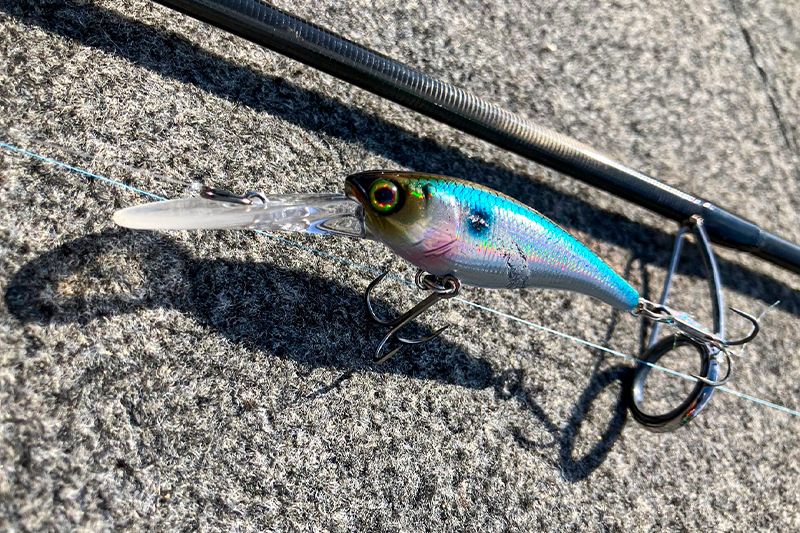 ソウルシャッド58SPが炸裂！ 野尻湖で掴んだビッグスモール/斉 広峰