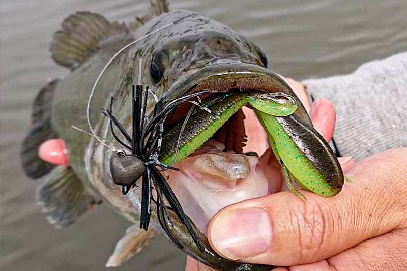 【現物】撮影使用タックルのバラム300とギャルなリールSET 現物】撮影使用タックルのバラム300とギャルなリールSET - メルカリ