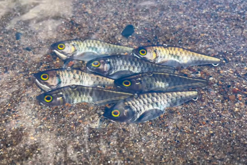 RTカラーはデザイナーの腕の見せ所