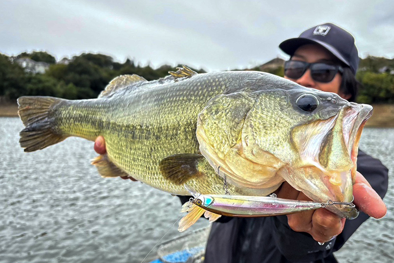 ジャークで喰わせる！ワカサギを追う秋バス戦略/徳田翔己