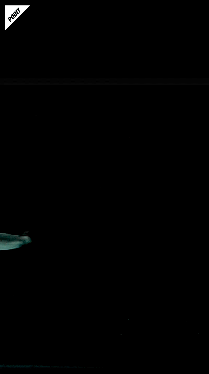 バイタルミノー 5