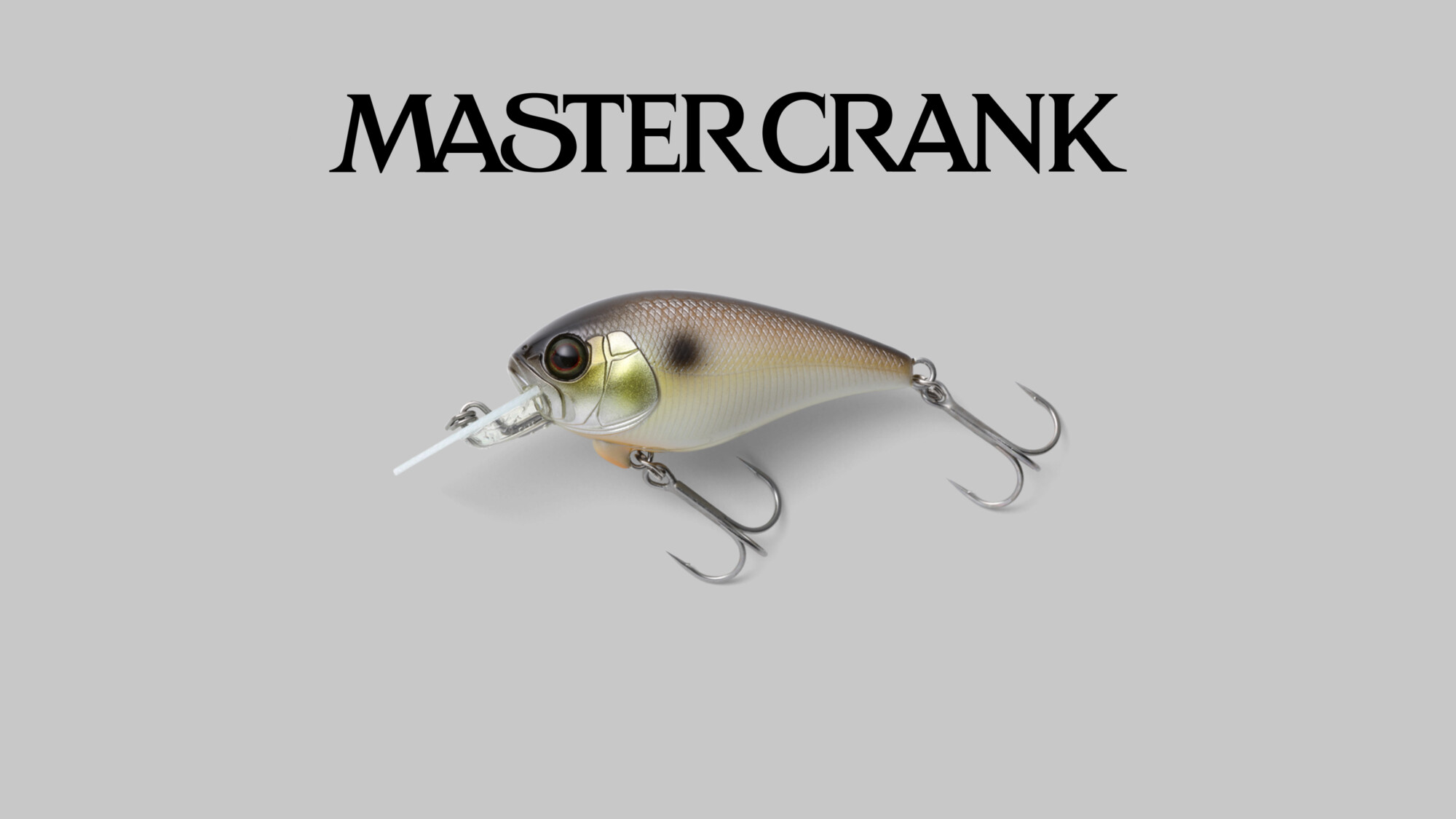 マスタークランク MASTER CRANK