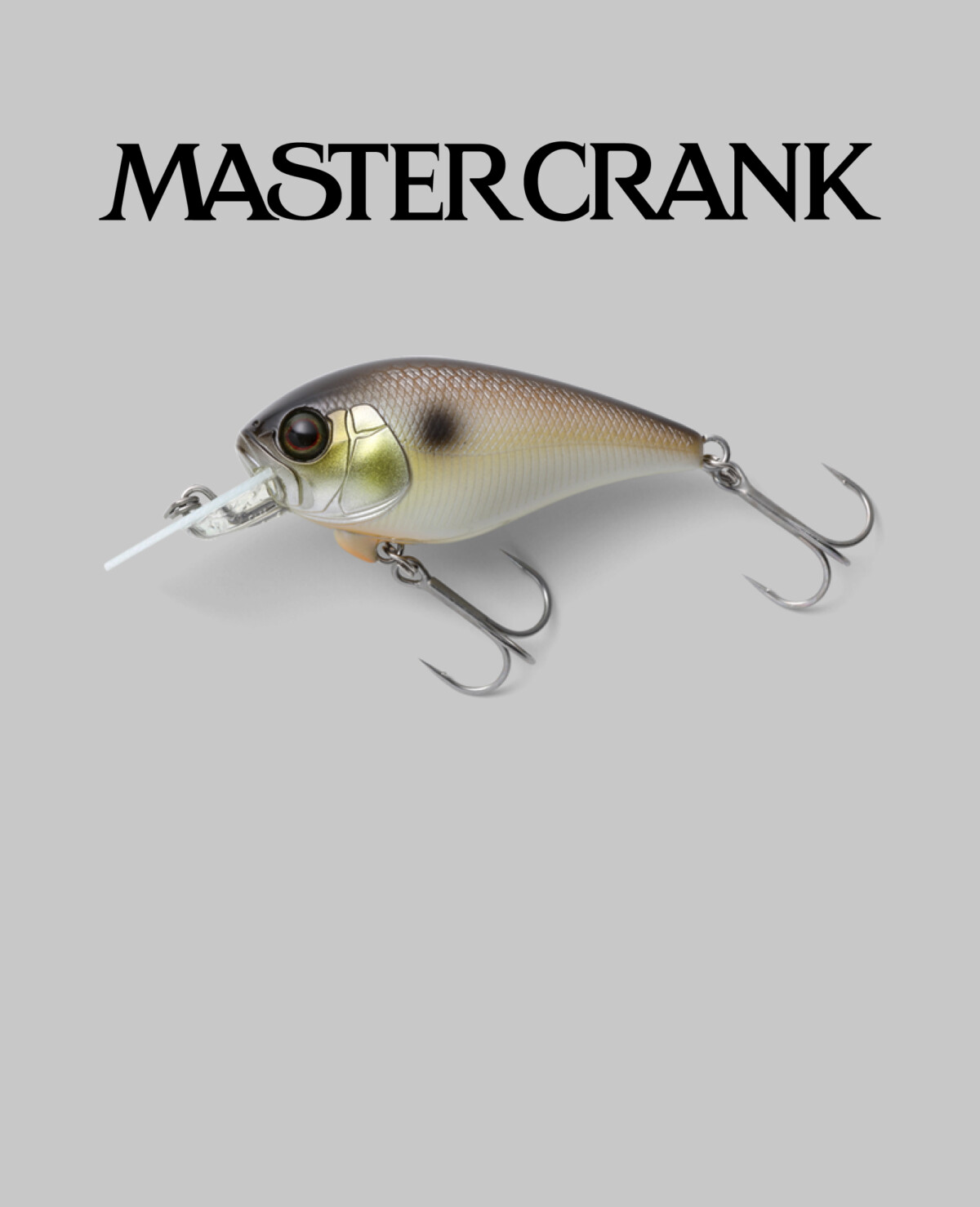 マスタークランク MASTER CRANK