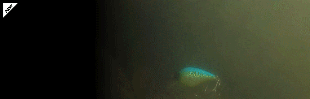 マスタークランク MASTER CRANK