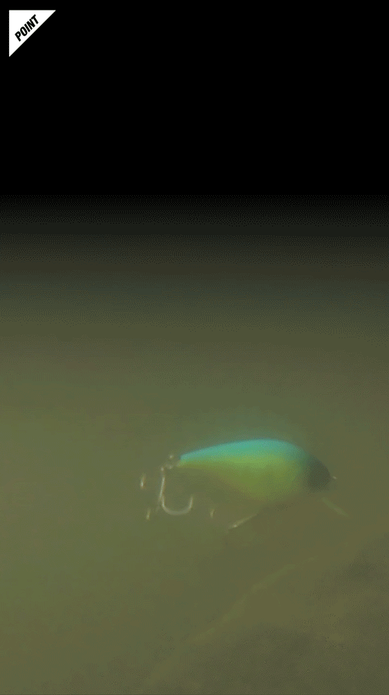 マスタークランク MASTER CRANK