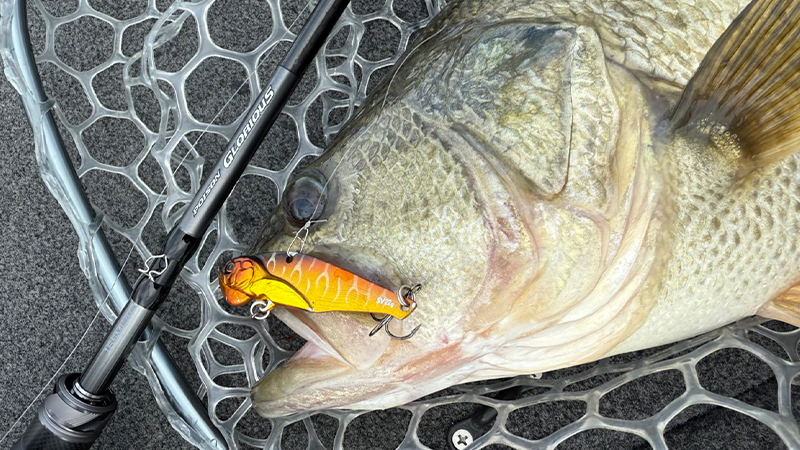 冬の南湖攻略、スピードバイブハイリフトのリフト＆フォール/南一貴