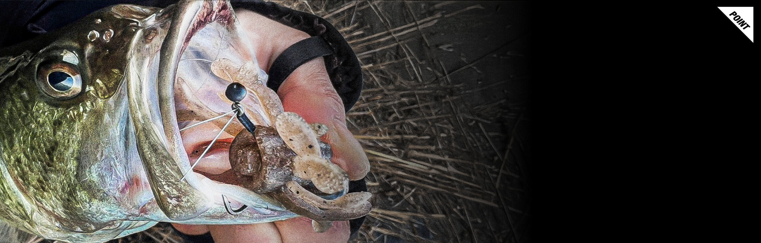 キングジミーヘンジミディアム KING JIMMY HENGE Medium 