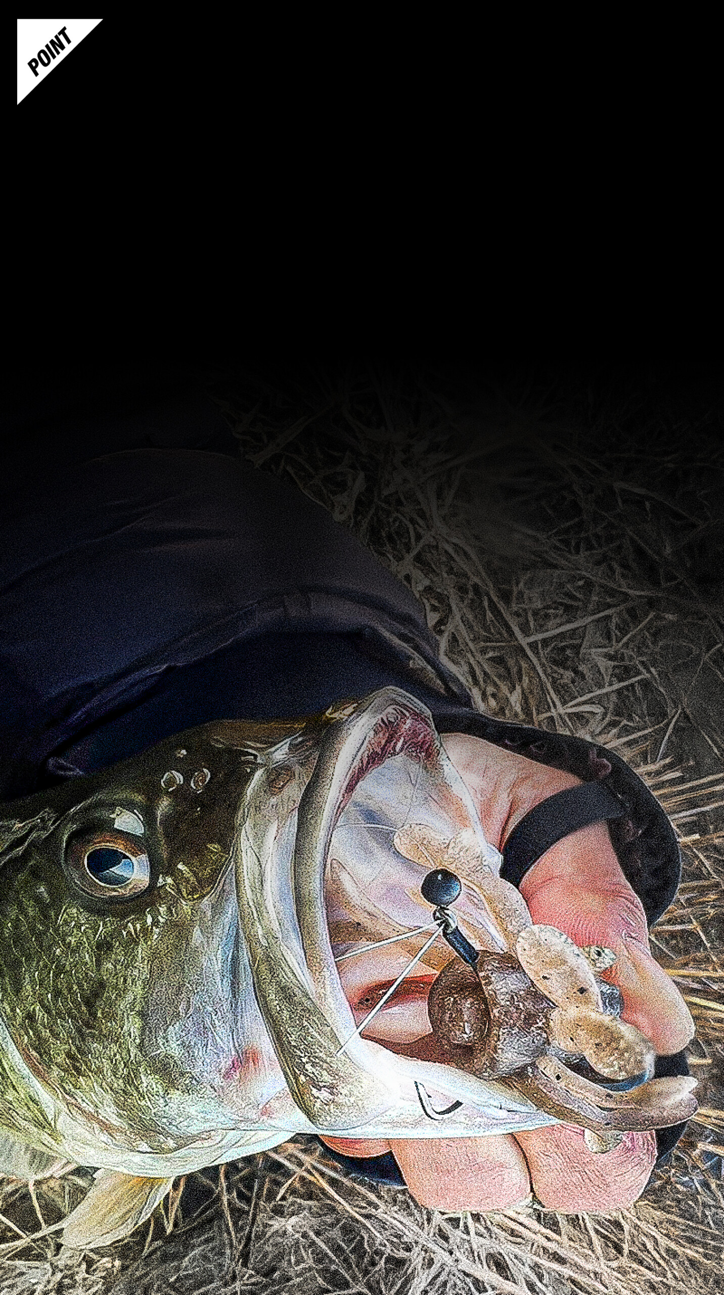 キングジミーヘンジミディアム KING JIMMY HENGE Medium 