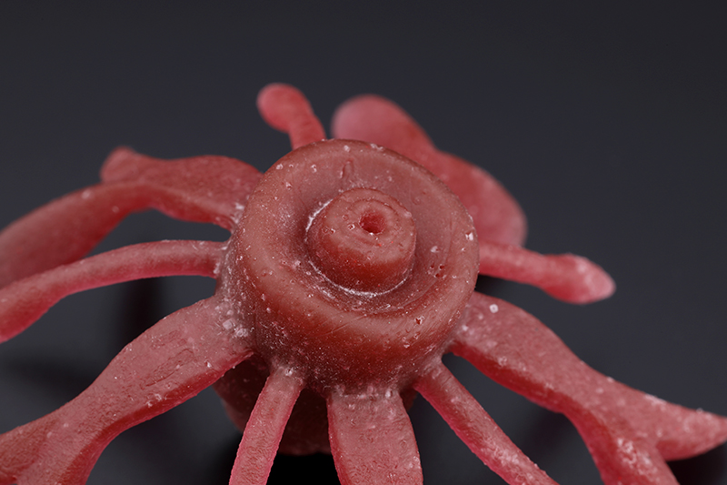 キングジミーヘンジミディアム KING JIMMY HENGE Medium