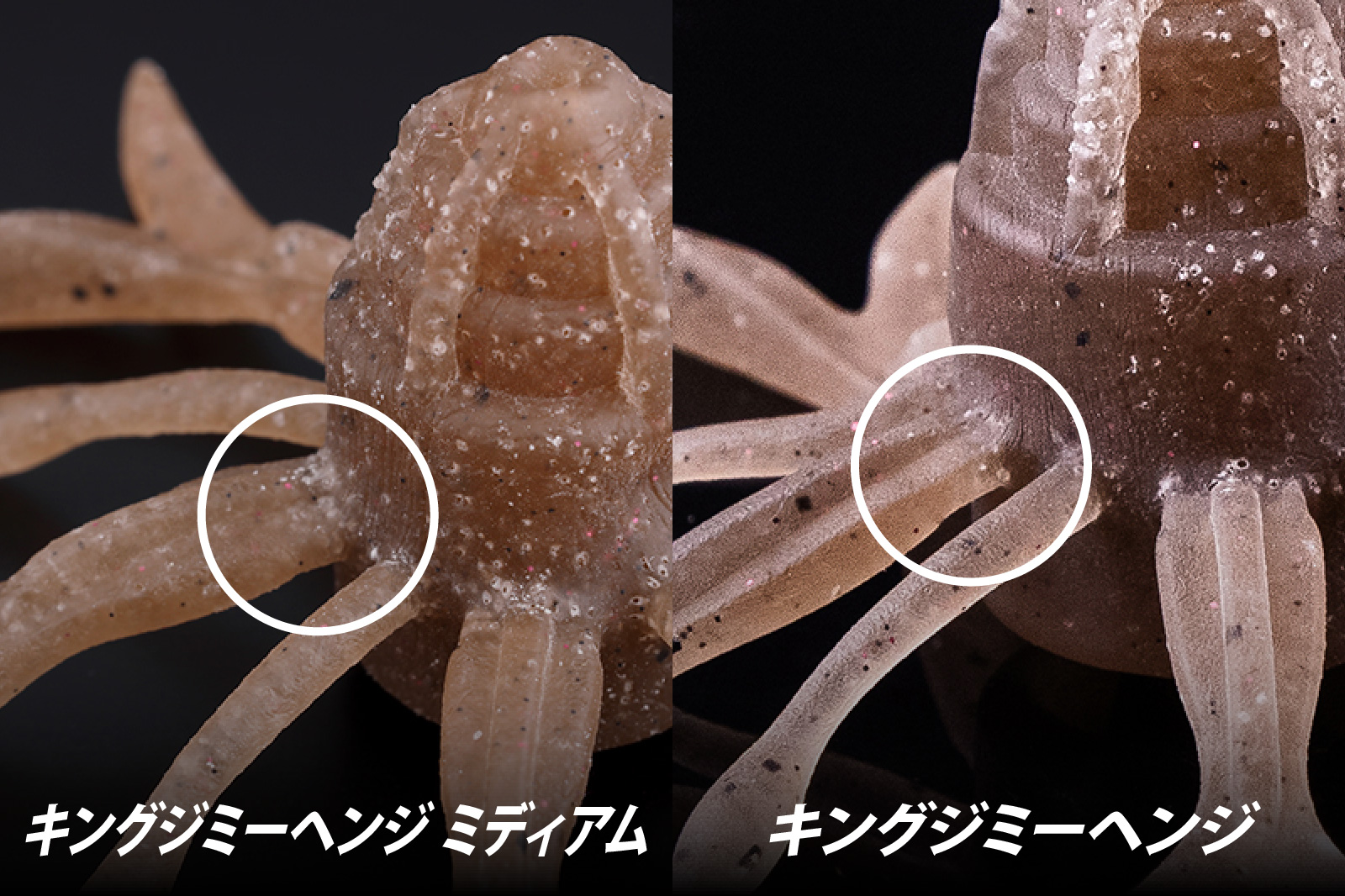 ニュースキン ルミスパ【動作確認済み】 キングジミーヘンジの遺伝子を継ぐ「ミディアム」の実力/横山朋毅