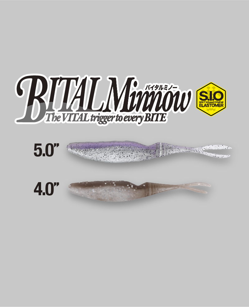 BITAL MINNOW 4